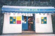 Whale Pub II